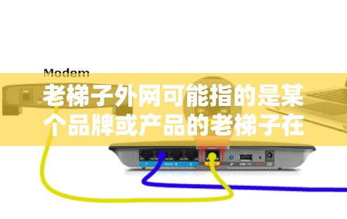 老梯子外网可能指的是某个品牌或产品的老梯子在外部市场的推广或应用。以下是对该概念的详细分析