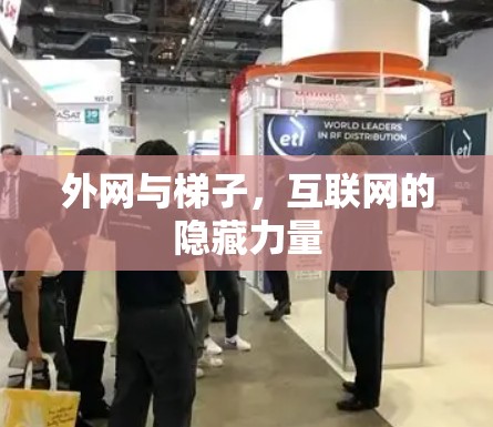 外网与梯子,互联网的隐藏力量