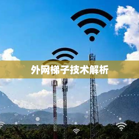 外网梯子技术解析