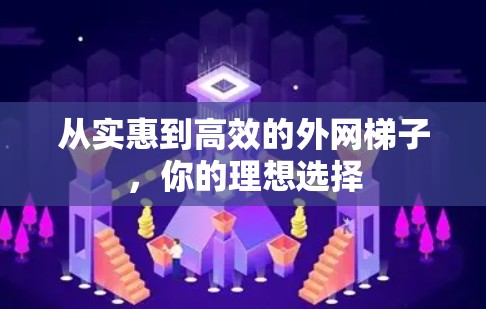 从实惠到高效的外网梯子,你的理想选择
