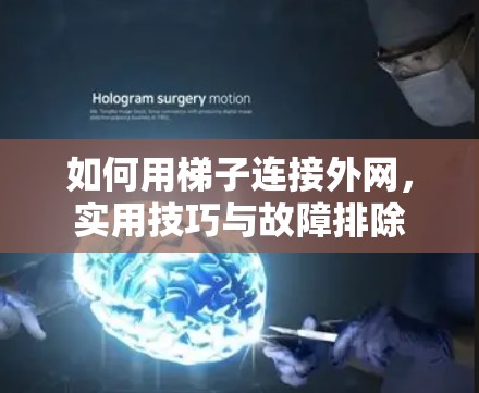 如何用梯子连接外网，实用技巧与故障排除