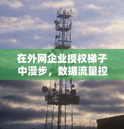 在外网企业授权梯子中漫步，数据流量控制的梯度式管理