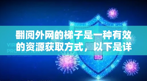 翻阅外网的梯子是一种有效的资源获取方式，以下是详细的步骤指南
