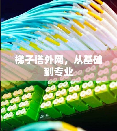 梯子搭外网，从基础到专业