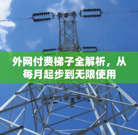 外网付费梯子全解析，从每月起步到无限使用
