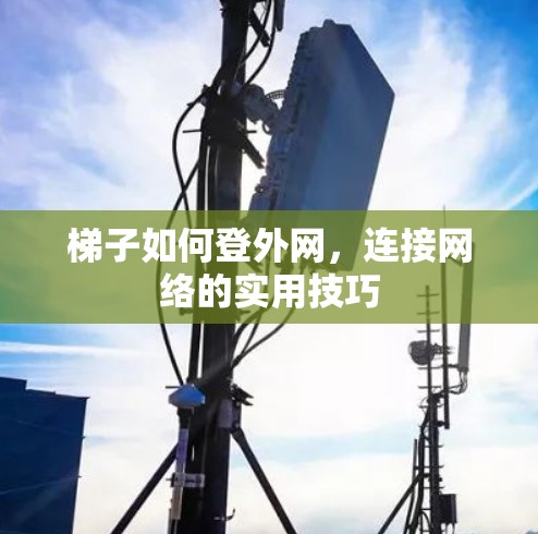 梯子如何登外网，连接网络的实用技巧