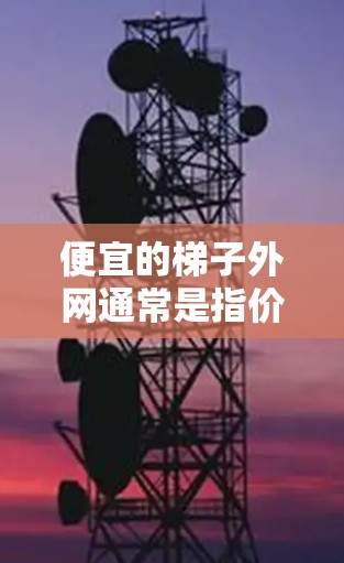 便宜的梯子外网通常是指价格较低的梯子，可能包括三脚架、带括子的梯子、带侧板的梯子等。以下是一些性价比较高的选项