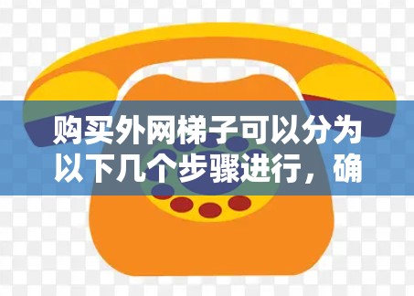 购买外网梯子可以分为以下几个步骤进行，确保设备安全可靠
